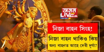 নিজা বাহন সিংহ! নিজা বাহন থকা স্বত্বেও কিয় প্ৰত্যেক বছৰেই দোলা, হাতী, ঘোঁৰা, নৌকাত আহে দেৱী দুৰ্গা?