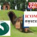 ‘ICOMOS’ প্ৰকৃততে কি? চৰাইদেউৰ মৈদামক্ষেত্ৰই লাভ কৰিব কি?