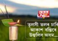 তুলসীৰ তলে তলে মৃগপহু চৰে…আজি কাতি বিহু