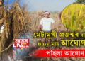 প্ৰাপ্তিৰ মাহ আঘোণ, মেটামুখী প্ৰজন্মৰ বাবে Busy মাহ আঘোণ