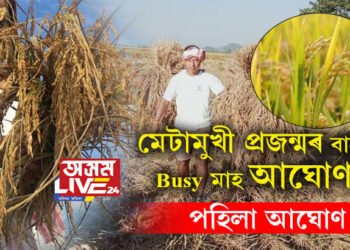প্ৰাপ্তিৰ মাহ আঘোণ, মেটামুখী প্ৰজন্মৰ বাবে Busy মাহ আঘোণ