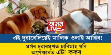 এই দুৱাৰেদিয়েই মালিক ওলাই আহিব! মৰ্গৰ দুৱাৰমুখত চাৰিমাহ ধৰি অপেক্ষাত আছে এটা কুকুৰ