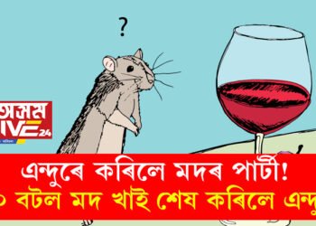 এন্দুৰে কৰিলে মদৰ পাৰ্টী! আৰক্ষীয়ে বাজেয়াপ্ত কৰা ৬০ বটল মদ খালে এন্দুৰে, ক’ত এই ঘটনা?