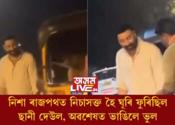 ছানী দেউল