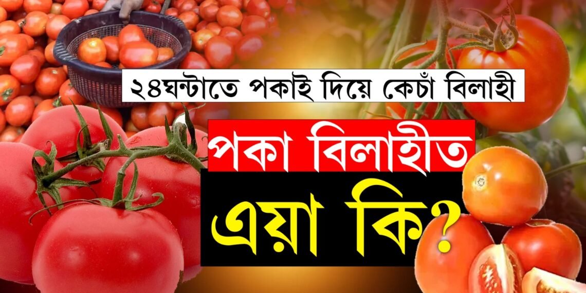 সাৱধানঃ অসমৰ এনে বিলাহী খালে আপোনাৰ কেন্সাৰ, হাওফাঁওৰ  ৰোগ হোৱাটো ১০০শতাংশ খাটাং…
