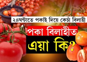 সাৱধানঃ অসমৰ এনে বিলাহী খালে আপোনাৰ কেন্সাৰ, হাওফাঁওৰ  ৰোগ হোৱাটো ১০০শতাংশ খাটাং…