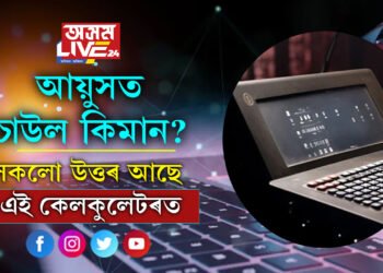 কাৰ আয়ুসত চাউল কিমান? সকলো উত্তৰ দিবলৈকে AIয়ে তৈয়াৰ কৰিছে বিশেষ কেলকুলেটৰ