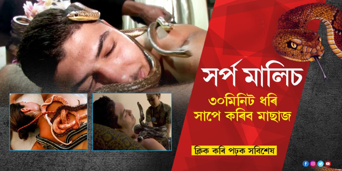 সৰ্প মাছাজঃ  ৩০মিনিট ধৰি সাপে কৰিব আপোনাৰ মালিচ…