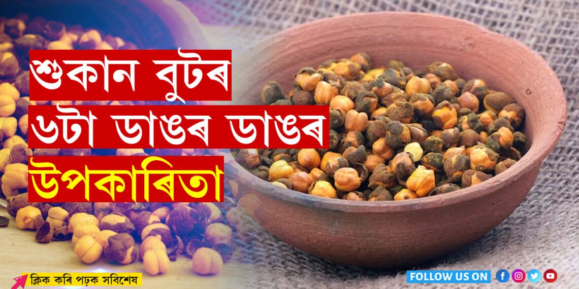 দেখাতহে নৰ্মেল! শুকান বুটৰ আছে বহু ডাঙৰ ডাঙৰ উপকাৰিতা…