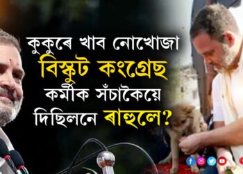 কুকুৰে খাব নোখোজা বিস্কুট কংগ্ৰেছ কৰ্মীক সঁচাকৈয়ে দিছিলনে ৰাহুলে? কুকুৰে কি ক্ষতি কৰিছে বিজেপিৰ, প্ৰশ্ন ৰাহুল গান্ধীৰ