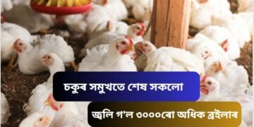 চকুৰ সমুখতে শেষ সকলো, জ্বলি গ’ল ৩০০০ৰো অধিক ব্ৰইলাৰ