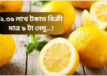 ২.৩৬ লাখ টকাত বিক্ৰী মাত্ৰ ৯ টা নেমু…!