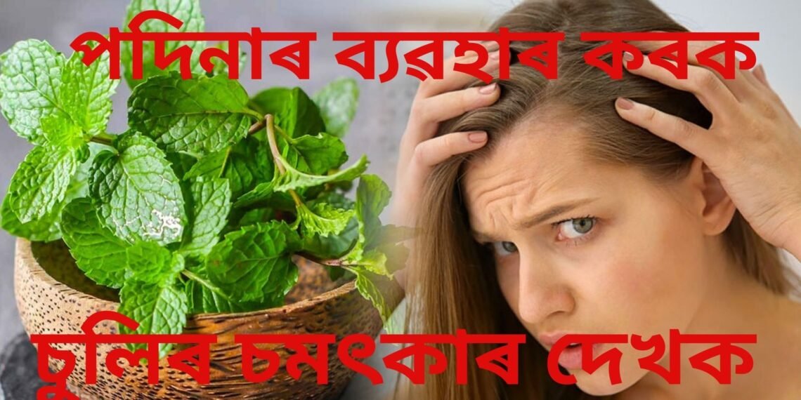 পদিনাৰ ব্যৱহাৰ কৰি গৰমৰ পৰা ৰক্ষা কৰক চুলিক, লগতে পাওক চমৎকাৰ উপকাৰিতা
