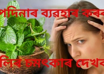 পদিনাৰ ব্যৱহাৰ কৰি গৰমৰ পৰা ৰক্ষা কৰক চুলিক, লগতে পাওক চমৎকাৰ উপকাৰিতা