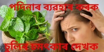 পদিনাৰ ব্যৱহাৰ কৰি গৰমৰ পৰা ৰক্ষা কৰক চুলিক, লগতে পাওক চমৎকাৰ উপকাৰিতা