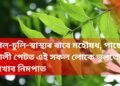 ছাল-চুলি-স্বাস্থ্যৰ বাবে মহৌষধ, পাছে খালী পেটত এই সকল লোকে ভুলতো নাখাব নিমপাত