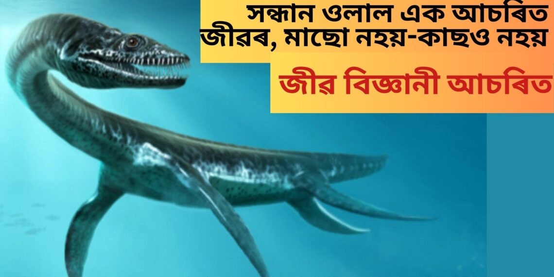 সন্ধান ওলাল এক আচৰিত জীৱৰ, মাছো নহয়-কাছও নহয়, জীৱ বিজ্ঞানী আচৰিত