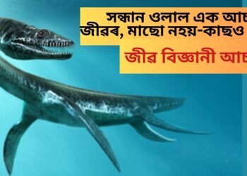 সন্ধান ওলাল এক আচৰিত জীৱৰ, মাছো নহয়-কাছও নহয়, জীৱ বিজ্ঞানী আচৰিত