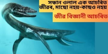 সন্ধান ওলাল এক আচৰিত জীৱৰ, মাছো নহয়-কাছও নহয়, জীৱ বিজ্ঞানী আচৰিত