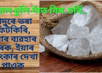 যাদুৰে ভৰা ফিটকিৰি, এবাৰ ব্যৱহাৰ কৰক, ইয়াৰ চমৎকাৰ দেখা পাওক, ছাল-চুলি-দাঁত-বিষ…