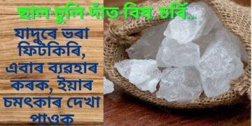 যাদুৰে ভৰা ফিটকিৰি, এবাৰ ব্যৱহাৰ কৰক, ইয়াৰ চমৎকাৰ দেখা পাওক, ছাল-চুলি-দাঁত-বিষ…