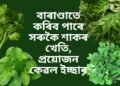 বাৰাণ্ডাতে কৰিব পাৰে সৰুকৈ শাকৰ খেতি, প্ৰয়োজন কেৱল ইচ্ছাৰ