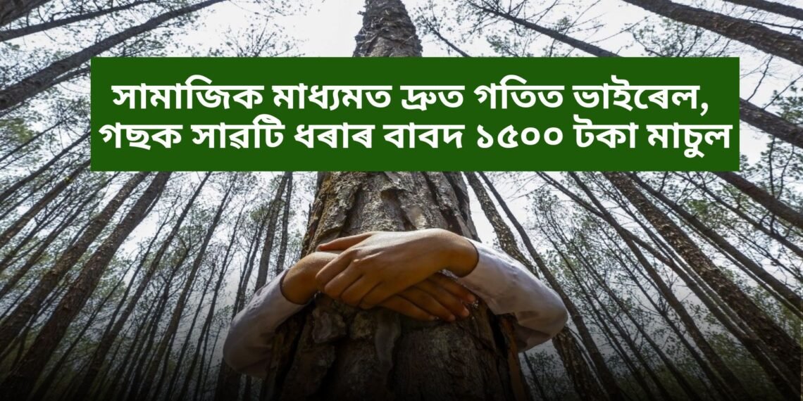 সামাজিক মাধ্যমত দ্ৰুত গতিত ভাইৰেল, গছক সাৱটি ধৰাৰ বাবদ ১৫০০ টকা মাচুল