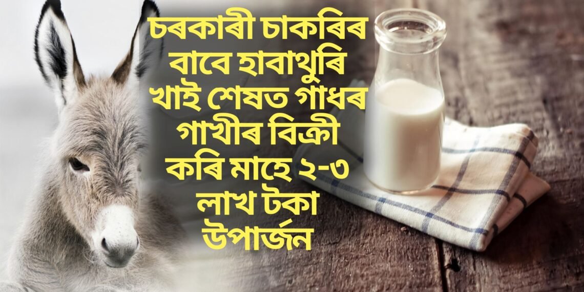 চৰকাৰী চাকৰিৰ বাবে হাবাথুৰি খাই শেষত গাধৰ গাখীৰ বিক্ৰী কৰি মাহে ২-৩ লাখ টকা উপাৰ্জন