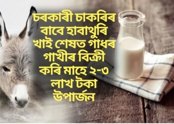 চৰকাৰী চাকৰিৰ বাবে হাবাথুৰি খাই শেষত গাধৰ গাখীৰ বিক্ৰী কৰি মাহে ২-৩ লাখ টকা উপাৰ্জন