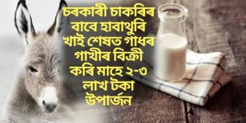 চৰকাৰী চাকৰিৰ বাবে হাবাথুৰি খাই শেষত গাধৰ গাখীৰ বিক্ৰী কৰি মাহে ২-৩ লাখ টকা উপাৰ্জন