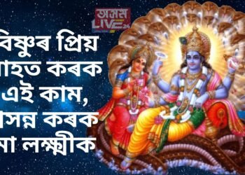 বিষ্ণুৰ প্ৰিয় মাহত কৰক এই কাম, প্ৰসন্ন কৰক মা লক্ষ্মীক