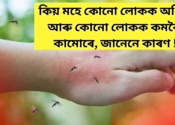 কিয় মহে কোনো লোকক অধিক আৰু কোনো লোকক কমকৈ কামোৰে, জানেনে কাৰণ !