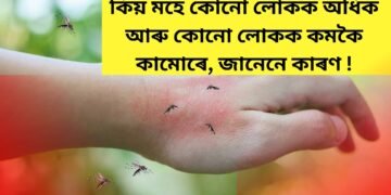 কিয় মহে কোনো লোকক অধিক আৰু কোনো লোকক কমকৈ কামোৰে, জানেনে কাৰণ !