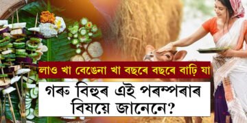 লাও খা বেঙেনা খা বছৰে বছৰে বাঢ়ি যা, আজি গৰু বিহু, গৰু বিহুৰ সৈতে সংগতি থকা এইকেইটা পৰম্পৰাৰ বিষয়ে জানেনে?