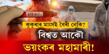 কুকুৰাৰ মাংসতেই লুকাই আছে নেকি বিপদ? কভিডতকৈয়ো ১০০গুণ ভয়ানক মহামাৰীৰ আশংকা বিশেষজ্ঞৰ