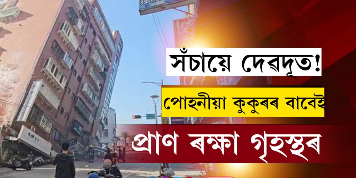 সঁচায়ে দেৱদূত! পোহনীয়া কুকুৰৰ তৎপৰতাতে প্ৰাণ ৰক্ষা পৰিল গৃহস্থৰ, চাওক ভিডিঅ’