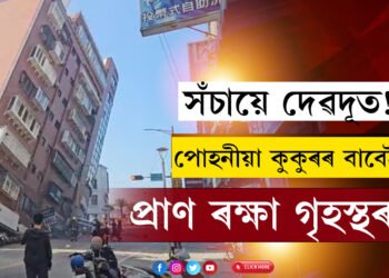সঁচায়ে দেৱদূত! পোহনীয়া কুকুৰৰ তৎপৰতাতে প্ৰাণ ৰক্ষা পৰিল গৃহস্থৰ, চাওক ভিডিঅ’