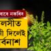 দেওবাৰে ভুলতো তুলসী গছত পানী নিদিব, তুলসীত পানী দিলেই আপোনাৰ ওপৰত ৰুষ্ট হ’ব লক্ষ্মী