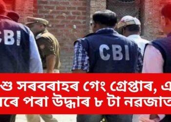 শিশু সৰবৰাহৰ গেং গ্ৰেপ্তাৰ, এটা ঘৰৰে পৰা উদ্ধাৰ ৮ টা নৱজাতক