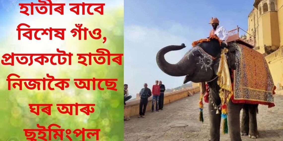 হাতীৰ বাবে বিশেষ গাঁও, প্ৰত্যকটো হাতীৰ আছে নিজাকৈ ঘৰ আৰু ছুইমিংপুল