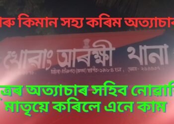 নিতৌ মাতৃৰ ওপৰত অত্যাচাৰ চলাইছিল পুত্ৰই, অৱশেষত মাতৃয়ে…
