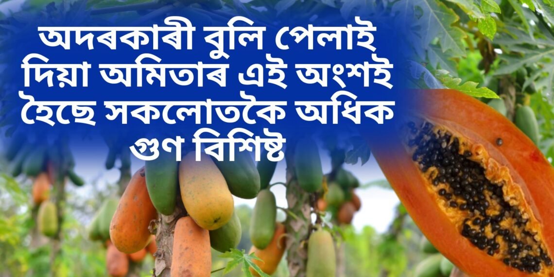 অদৰকাৰী বুলি পেলাই দিয়া অমিতাৰ এই অংশই হৈছে সকলোতকৈ অধিক গুণ বিশিষ্ট