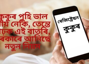 কুকুৰ পুহি ভাল পায় নেকি, তেন্তে পঢ়ক এই বাতৰি, চৰকাৰে আনিছে নতুন নিয়ম, এতিয়াৰ পৰা কৰিব লাগিব এই কাম