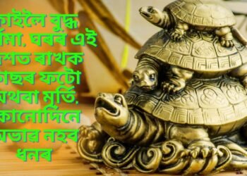 কাইলৈ বুদ্ধ পূৰ্ণিমা, ঘৰৰ এই দিশত ৰাখক কাছৰ ফটো অথবা মূৰ্তি, কোনোদিনে অভাৱ নহব ধনৰ