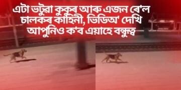 এটা ভটুৱা কুকুৰ আৰু এজন ৰে’ল চালকৰ কাহিনী, ভিডিঅ’ দেখি আপুনিও ক’ব এয়াহে বন্ধুত্ব