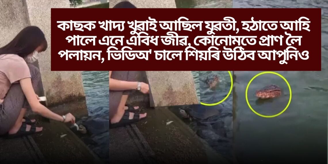 কাছক খাদ্য খুৱাই আছিল যুৱতী, হঠাতে আহি পালে এনে এবিধ জীৱ, কোনোমতে প্ৰাণ লৈ পয়ালন, ভিডিঅ’ চালে শিয়ৰি উঠিব আপুনিও
