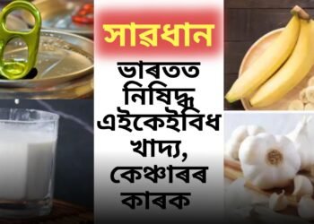 সাৱধান ভুলতো নাখাব! ভাৰতত নিষিদ্ধ হ’ল এই কেইবিধ খাদ্য