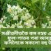সঞ্জীৱনীতকৈ কম নহয় এই উদ্ভিদ, ফুল-পাতৰ পৰা আৰম্ভ কৰি ফললৈকে সকলো বহু উপকাৰী
