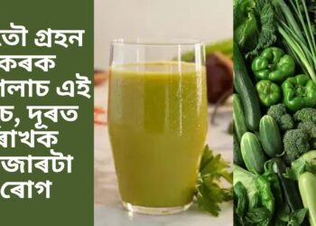 নিতৌ গ্ৰহন কৰক এগিলাচ এই জুচ, দূৰত ৰাখক হাজাৰটা ৰোগ