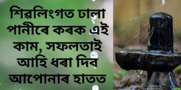 শিৱলিংগত ঢালা পানীৰে কৰক এই কাম, সফলতাই আহি ধৰা দিব আপোনাৰ হাতত